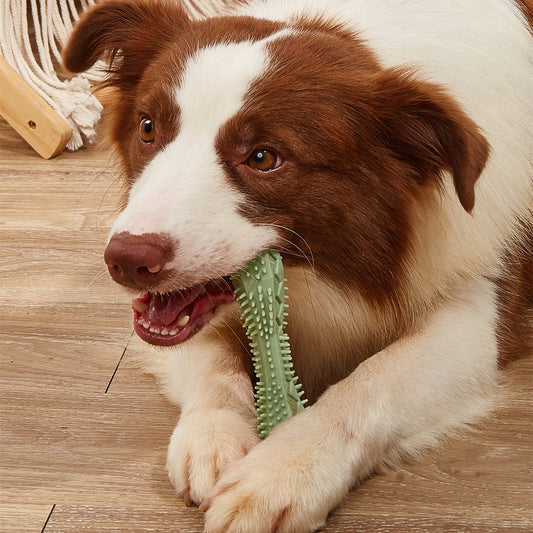 Chew Toy For Dog- Teeth Cleaning