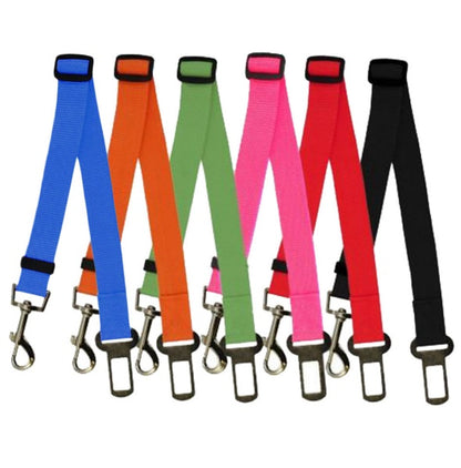 Fixed Strap Polyester Dog Strap - Petnify