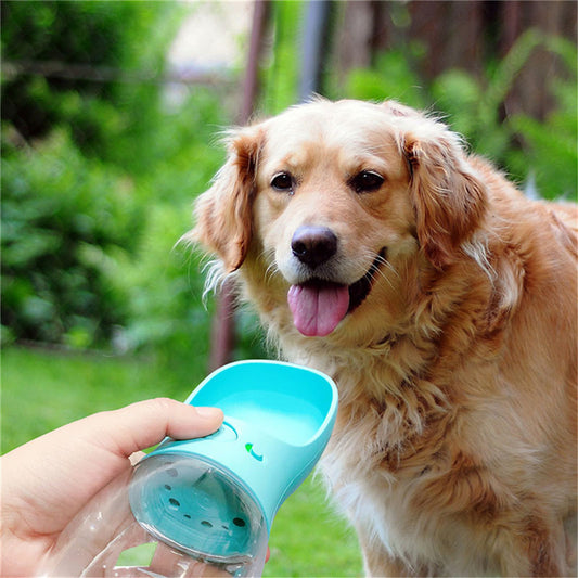 Outdoor Portable Water Bottle - Petnify