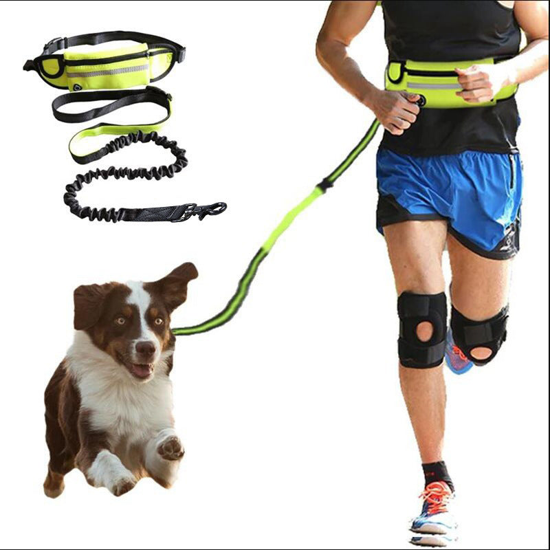 Hands Free Dog Leash - Petnify