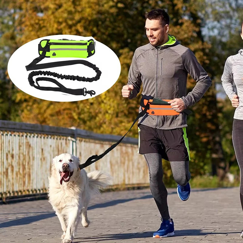 Hands Free Dog Leash - Petnify