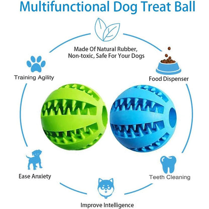 Dog Chewing Ball - Petnify