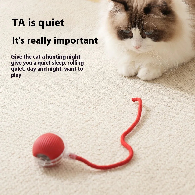 Rechargeable Cat Automatic Rolling Ball - Petnify