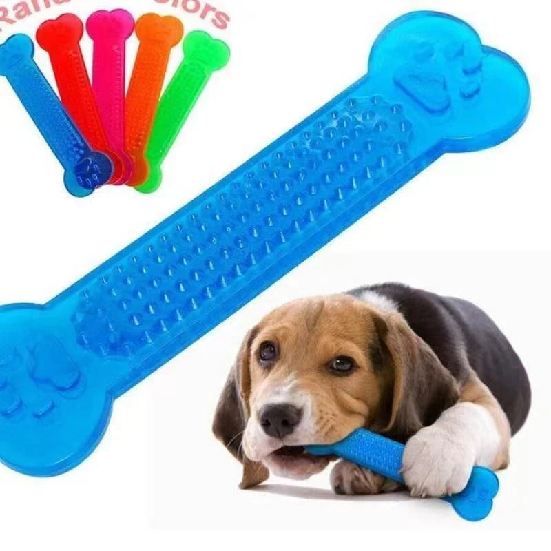 Dog Chew Toy - Rubber Bone - Petnify