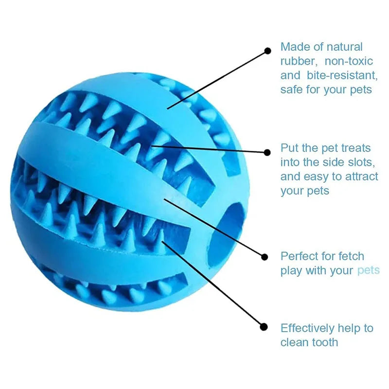 Dog Chewing Ball - Petnify