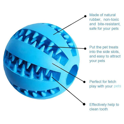 Dog Chewing Ball - Petnify