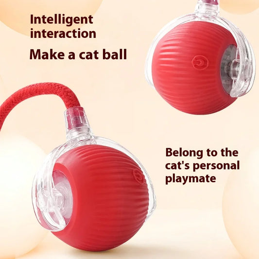 Rechargeable Cat Automatic Rolling Ball - Petnify