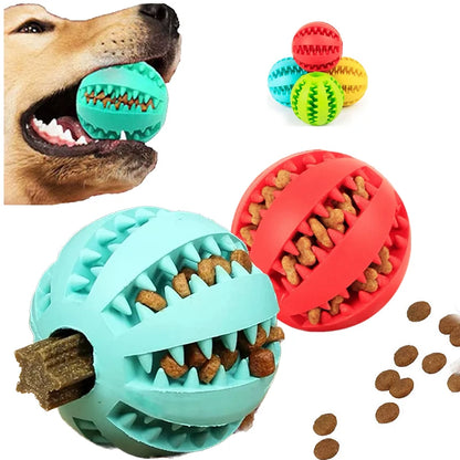 Dog Chewing Ball - Petnify