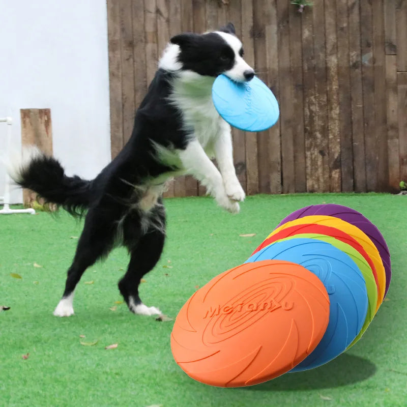 Bite Resistant Flying Disc - Petnify